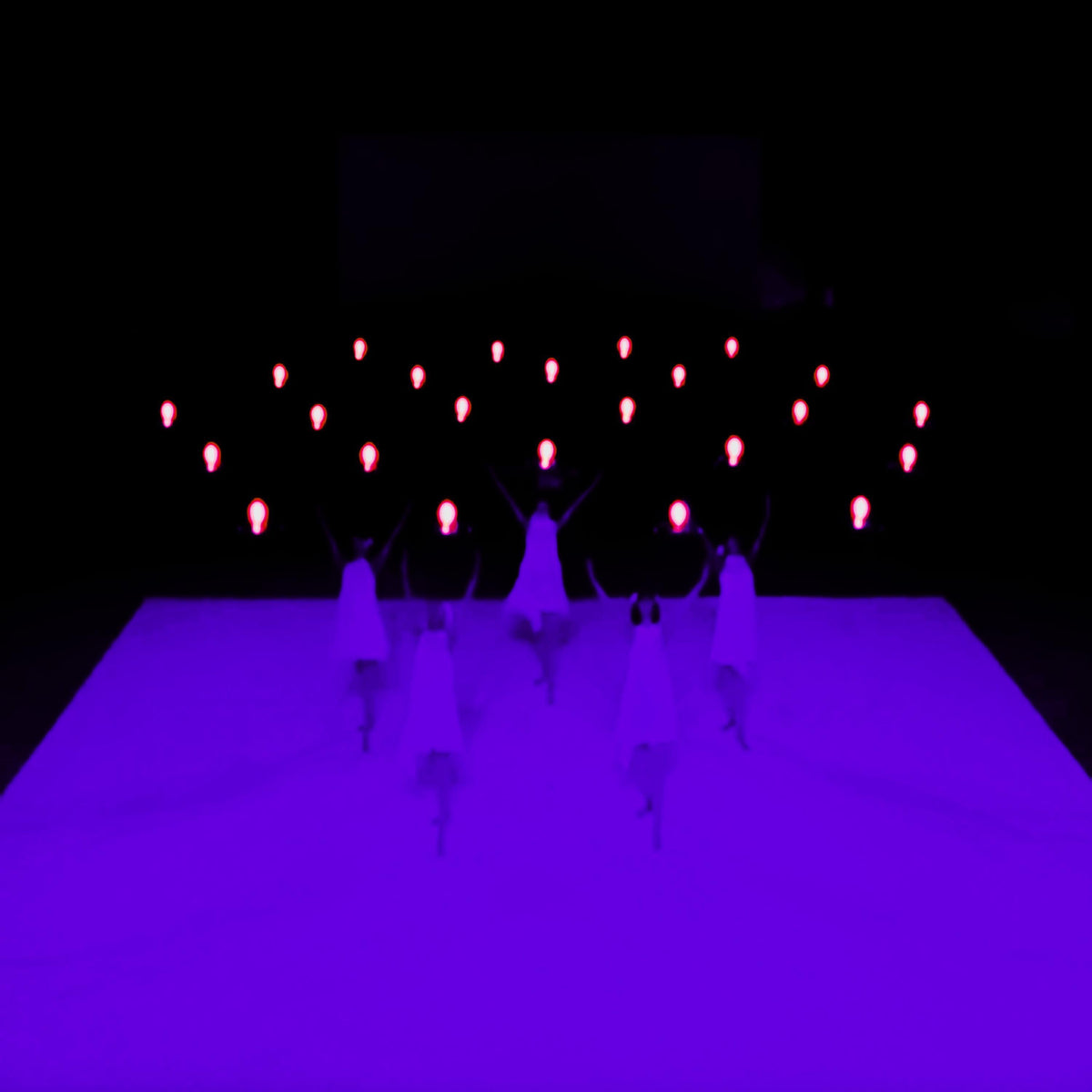 iiP — 24 drones