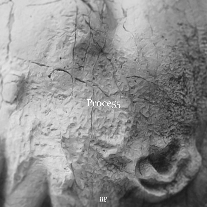 iiP — Proce55