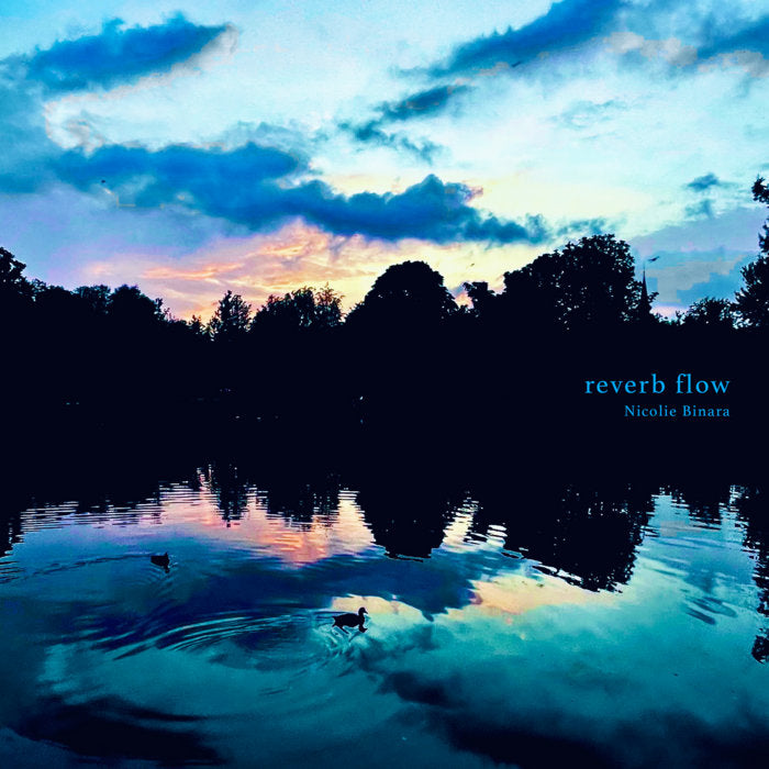 Nicolie Binara — reverb flow