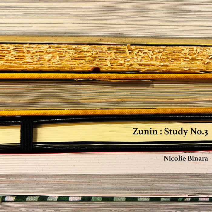 Nicolie Binara — Zunin : Study No.3