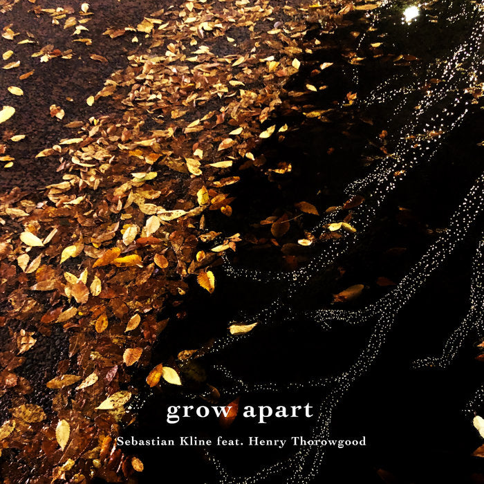Sebastian Kline — grow apart (feat. Henry Thorowgood)